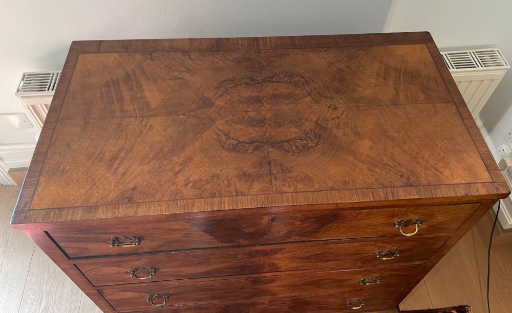 Alternate View