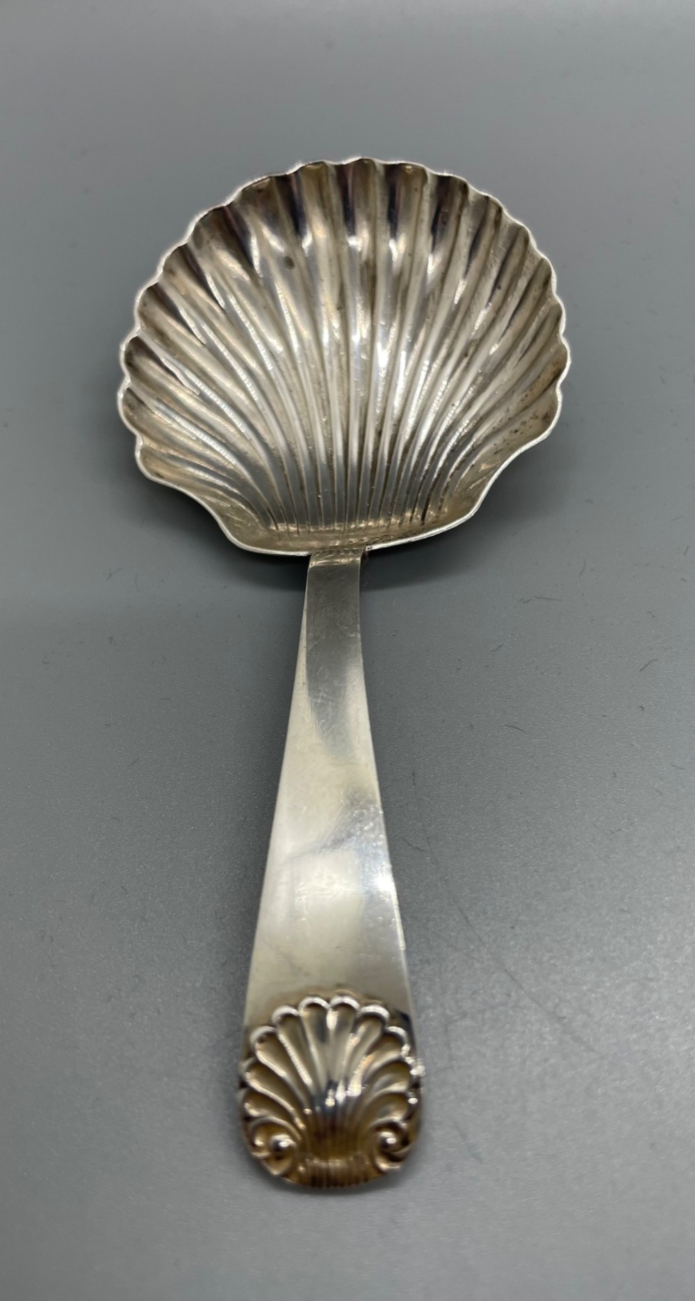 An Edwardian sterling silver caddy spoon featuring a fluted shell-shaped bowl and a flat handle with a shell motif terminal. View II