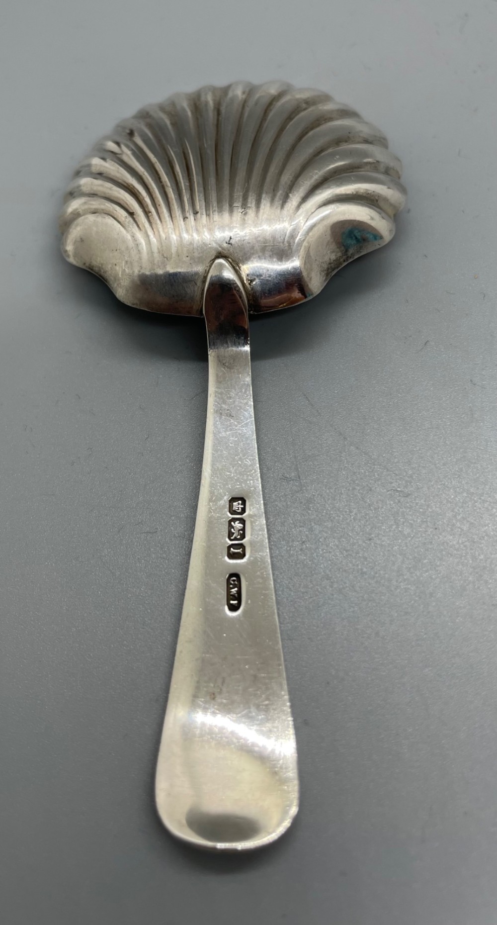 An Edwardian sterling silver caddy spoon featuring a fluted shell-shaped bowl and a flat handle with a shell motif terminal. View V
