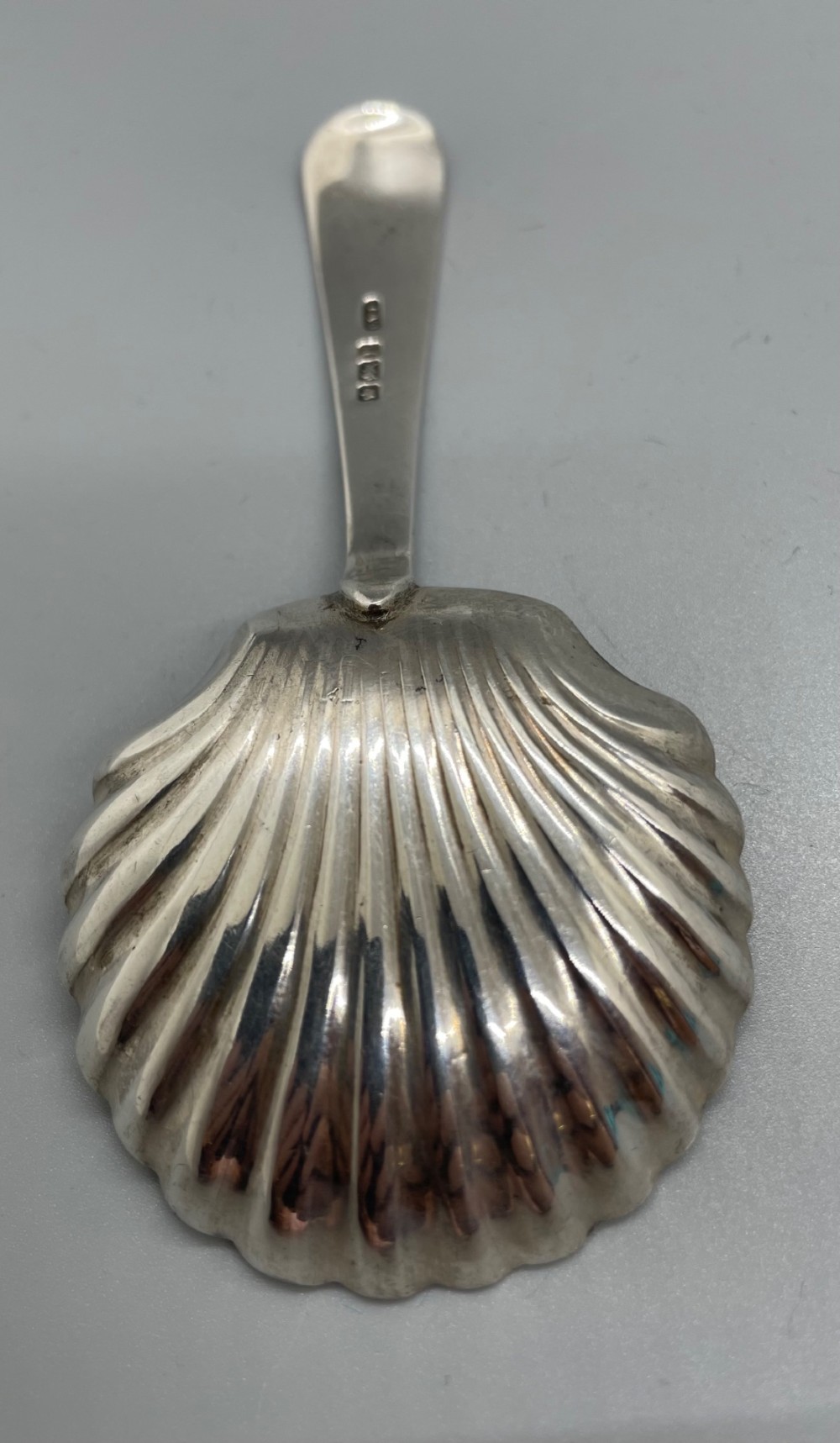An Edwardian sterling silver caddy spoon featuring a fluted shell-shaped bowl and a flat handle with a shell motif terminal. View VI