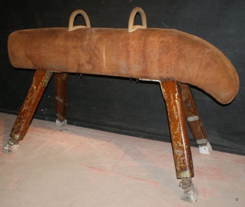 Gym Horse