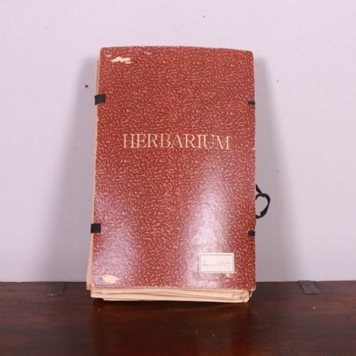 Book of Swedish Pressed Flowers