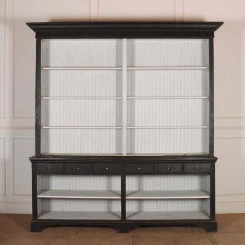 English Painted Bookcase / Dresser