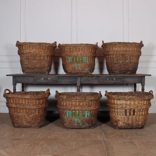 Set of 6 Champagne Grape Baskets