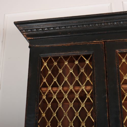WONDERFUL SCOTTISH PAINTED BOOKCASE - ADDITIONAL PHOTO 4