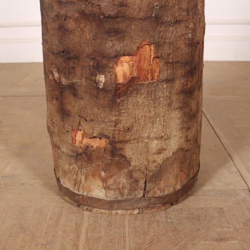 ANTIQUE DUG OUT TREE TRUNK - ADDITIONAL PHOTO 2