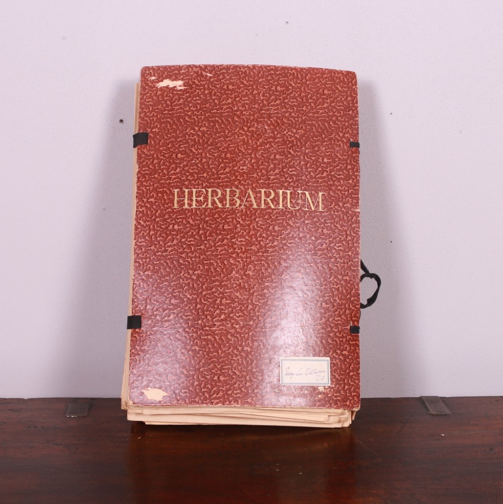Book of Swedish Pressed Flowers