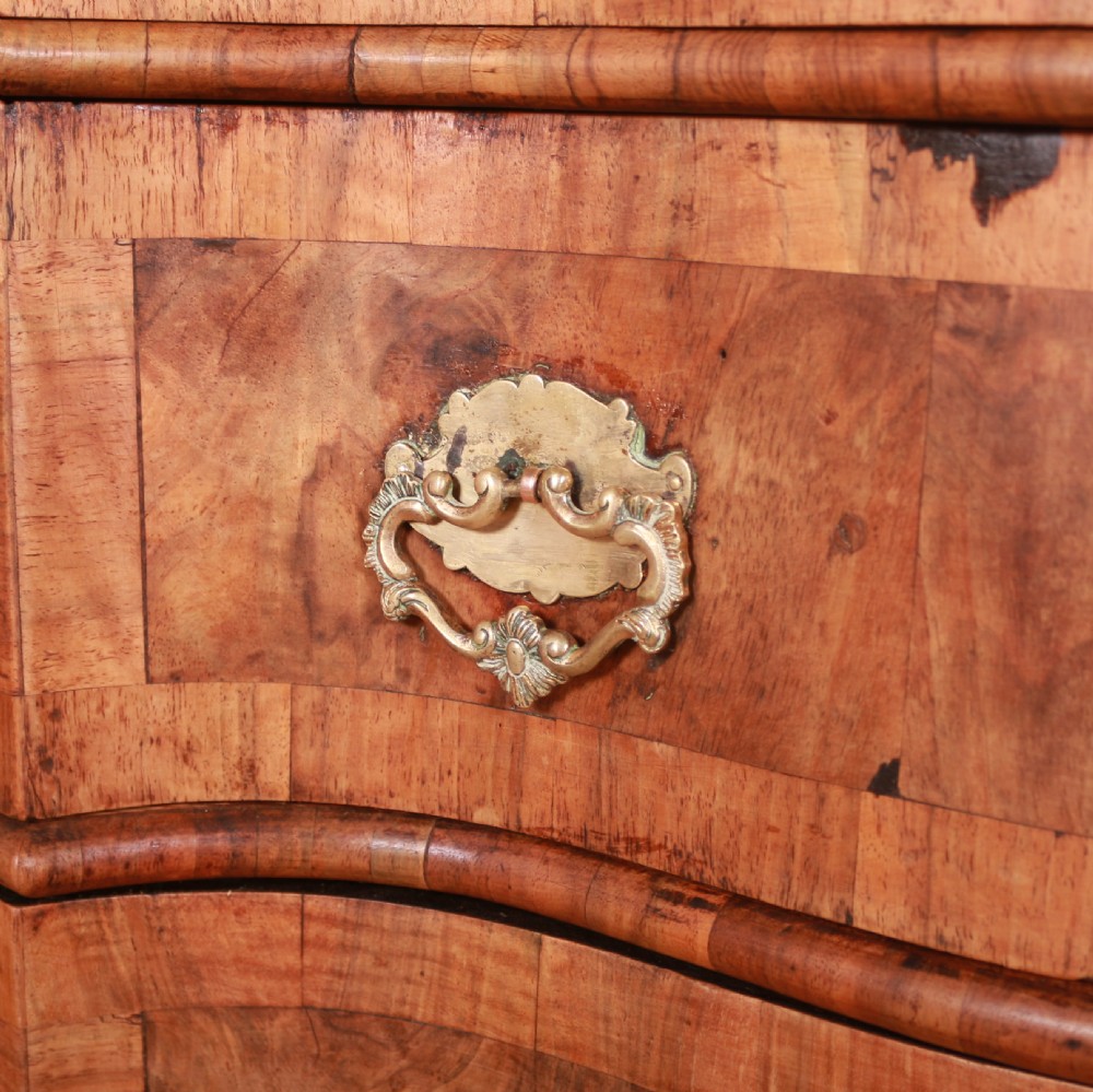Dutch Elm and Walnut Serpentine Commode View X
