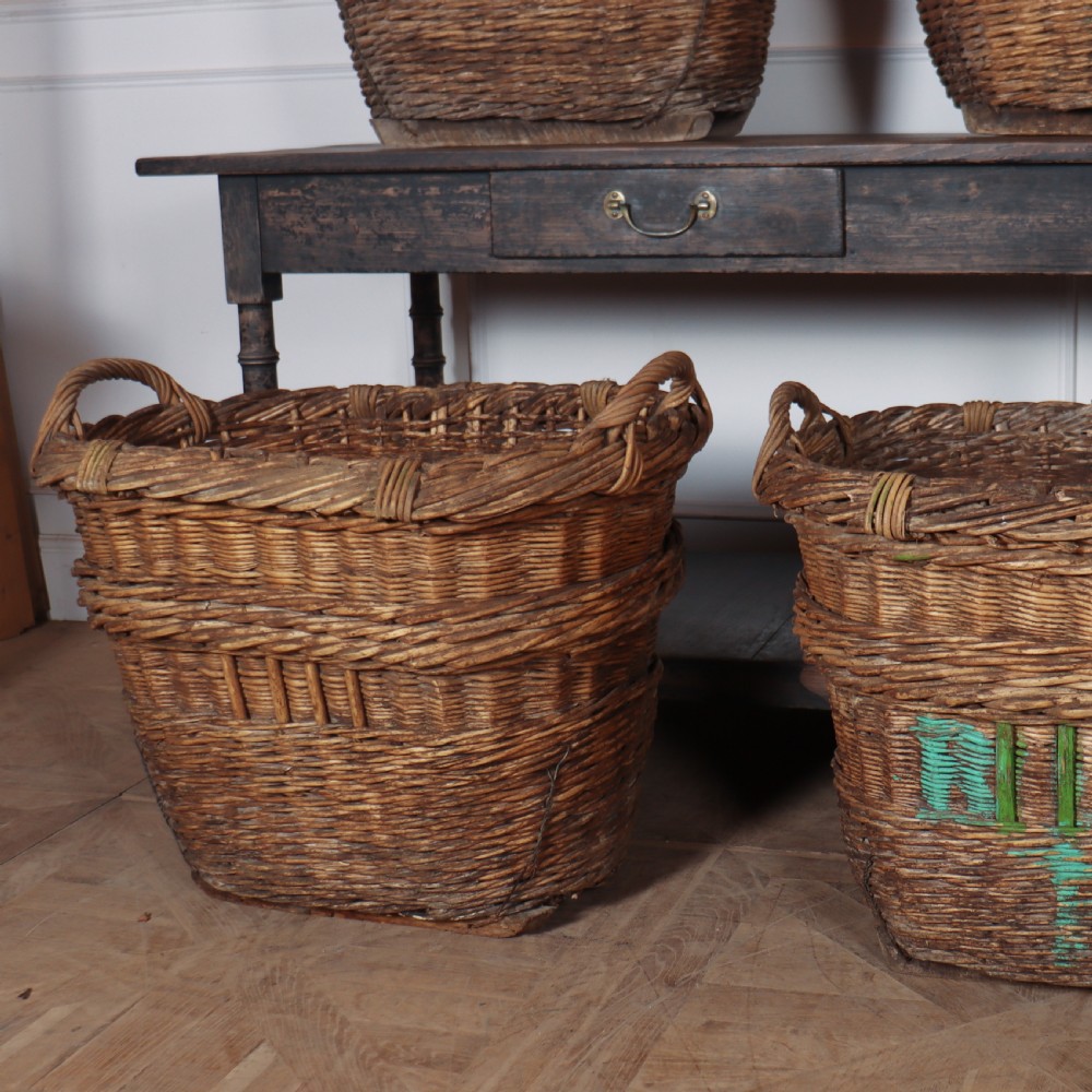 Set of 6 Champagne Grape Baskets View IV