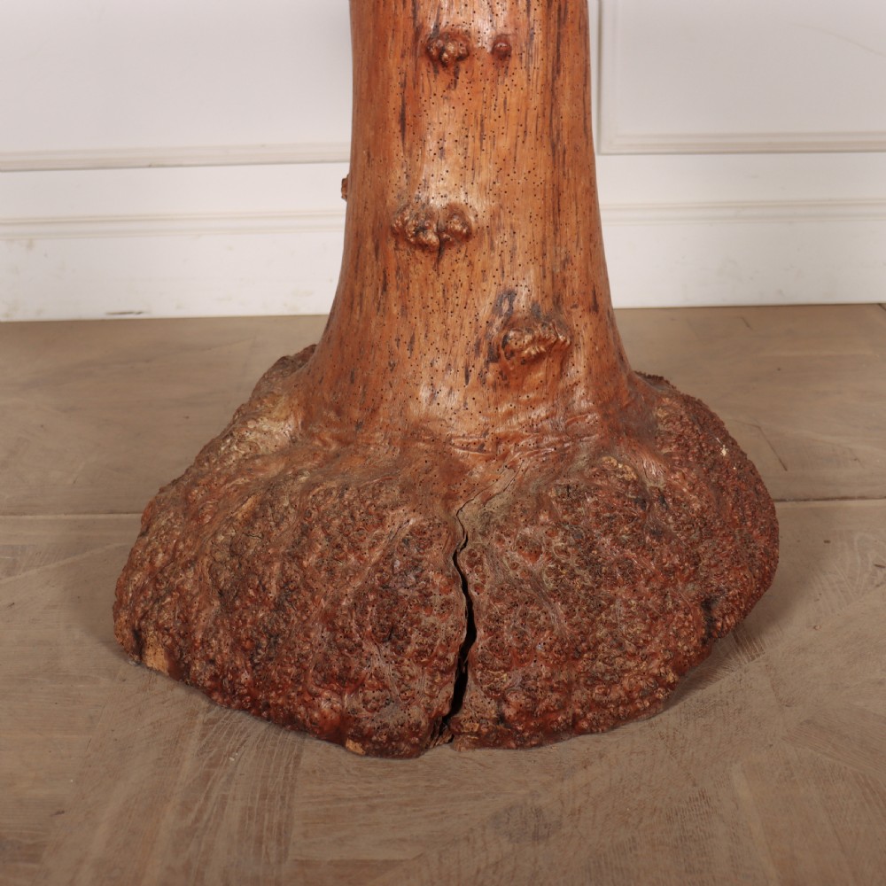 Swedish Burr Root Table View II