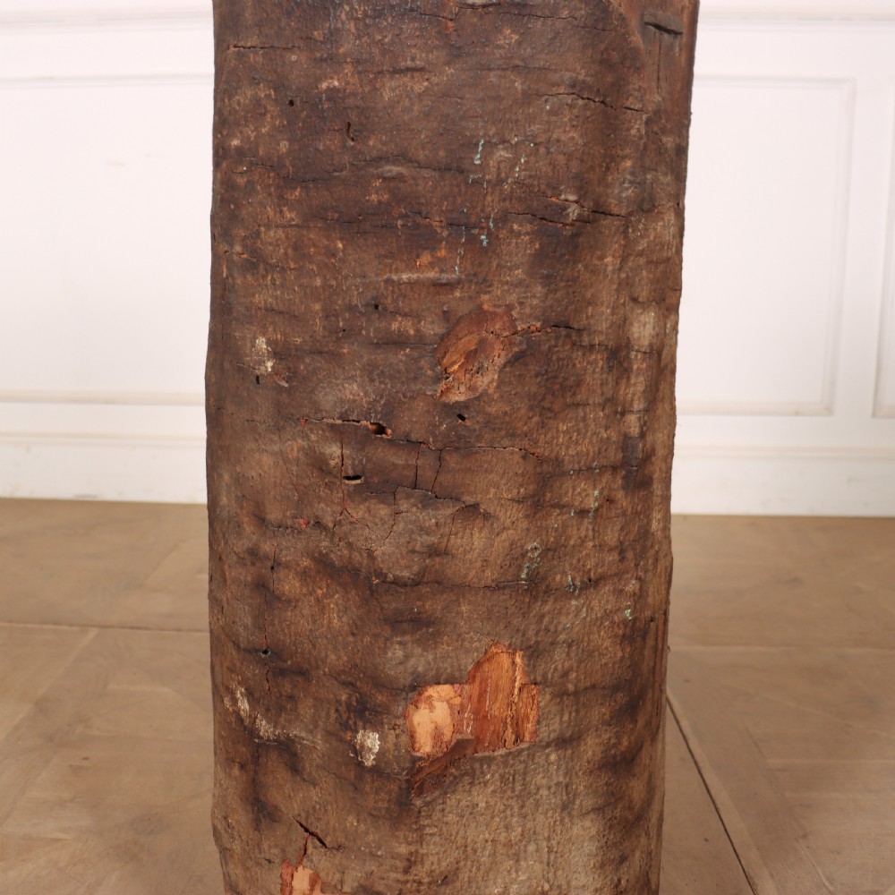 Antique Dug Out Tree Trunk View II