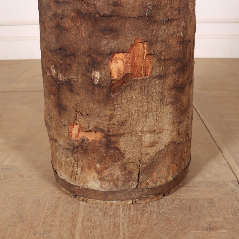 Antique Dug Out Tree Trunk View III
