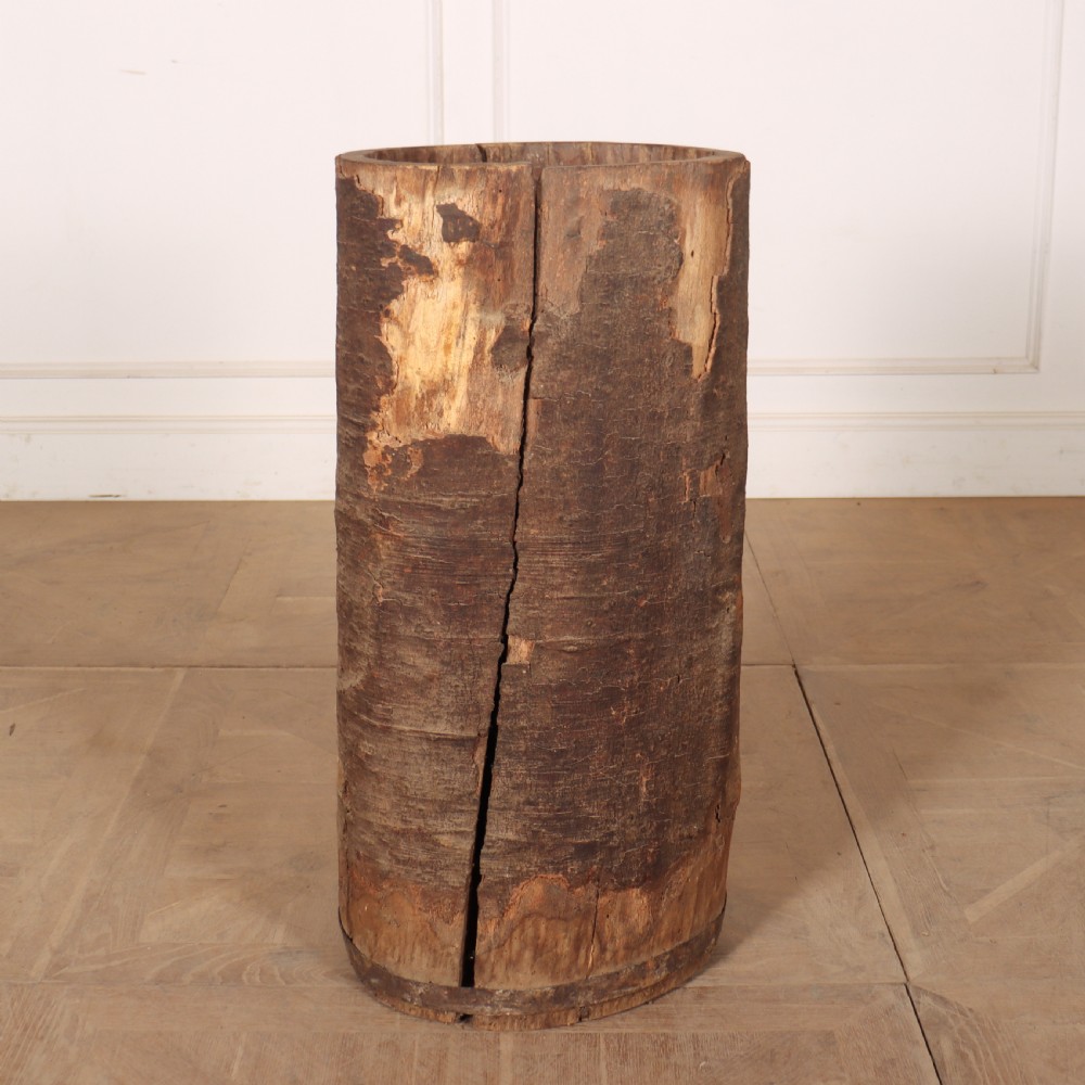 Antique Dug Out Tree Trunk View V