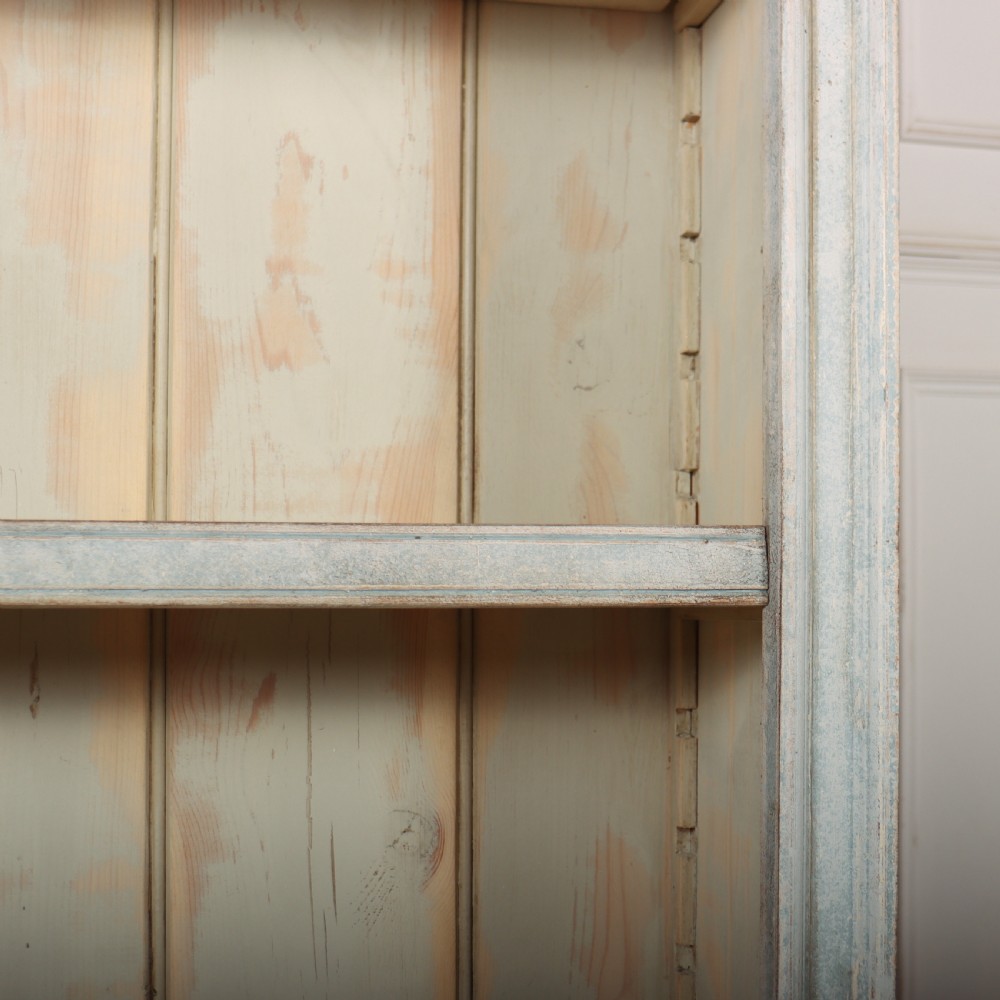 Narrow Painted French Bookcase View VII