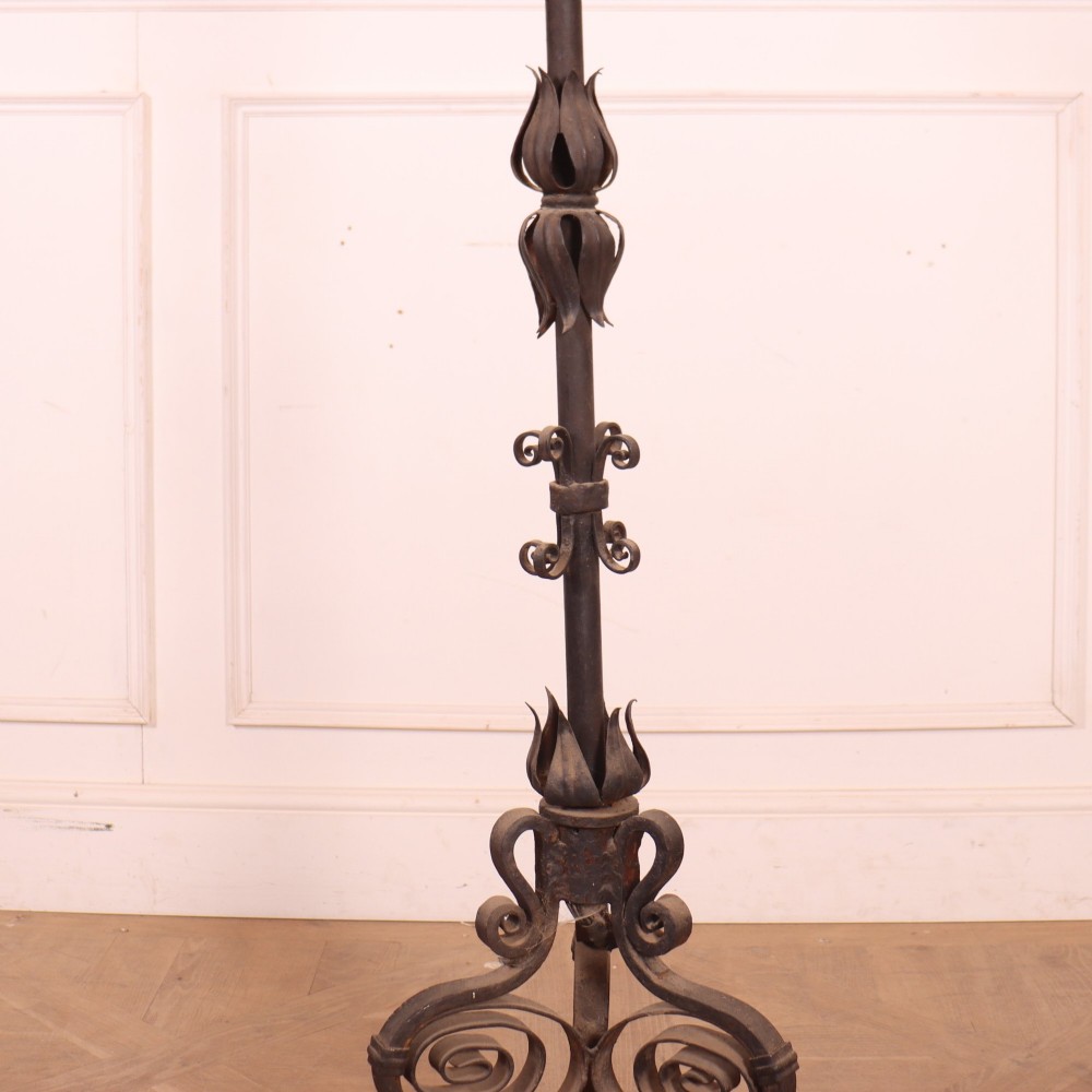 Alternate View
