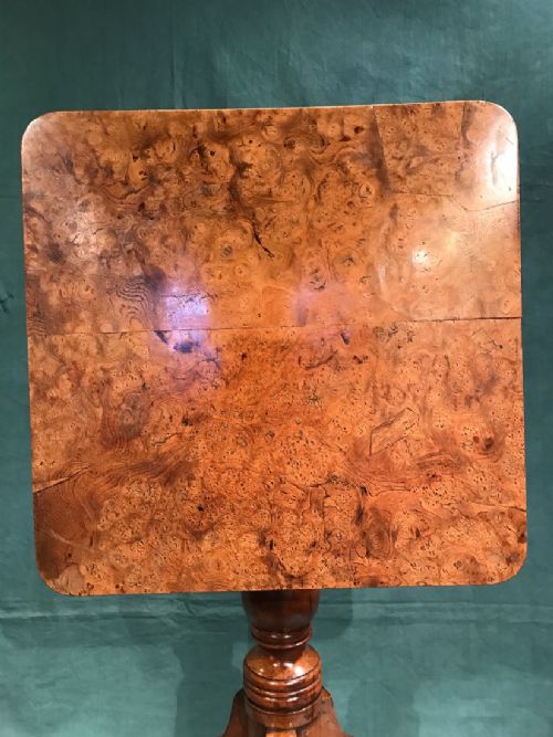 BURR WOOD GEORGIAN TABLE - ADDITIONAL PHOTO 2
