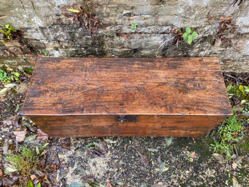 ELM COFFER - ADDITIONAL PHOTO 3
