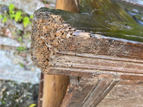 EARLY OAK COFFER - ADDITIONAL PHOTO 14