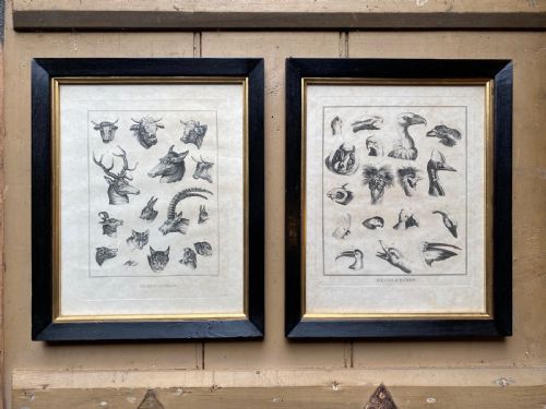 pair of georgian etchings - CATEGORY: ANTIQUE MISCELLANEOUS - DATED 19TH CENTURY