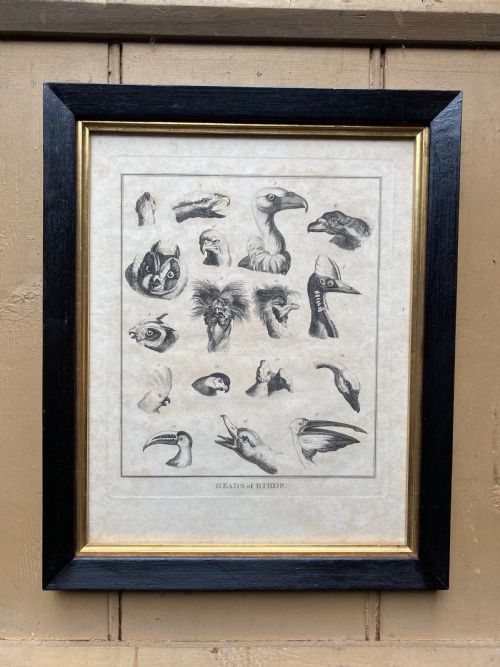 PAIR OF GEORGIAN ETCHINGS - ADDITIONAL PHOTO 2