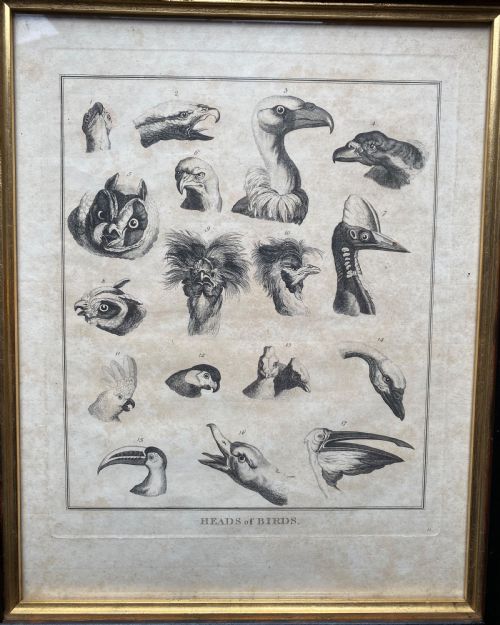 PAIR OF GEORGIAN ETCHINGS - ADDITIONAL PHOTO 3