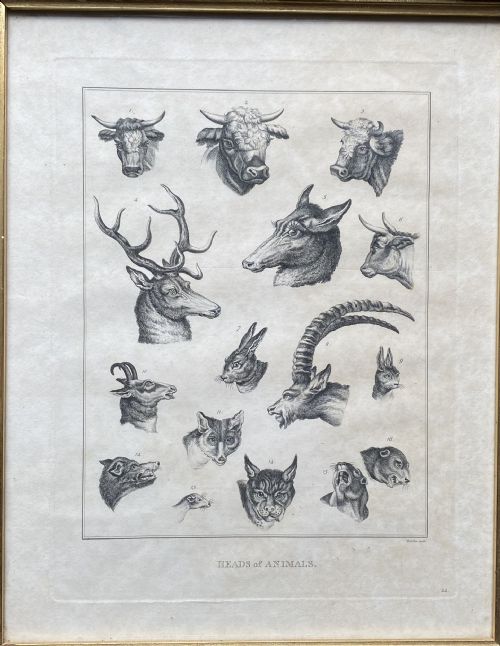PAIR OF GEORGIAN ETCHINGS - ADDITIONAL PHOTO 4
