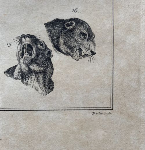 PAIR OF GEORGIAN ETCHINGS - ADDITIONAL PHOTO 7