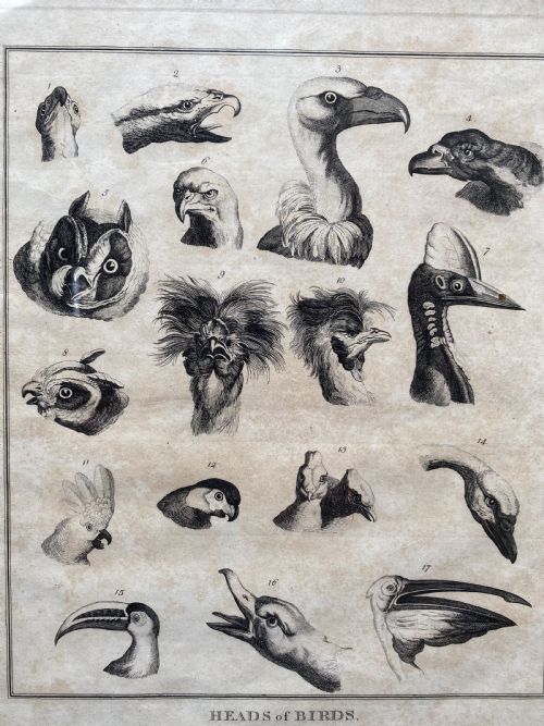 PAIR OF GEORGIAN ETCHINGS - ADDITIONAL PHOTO 8