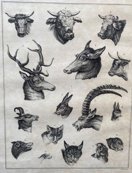 PAIR OF GEORGIAN ETCHINGS - ADDITIONAL PHOTO 9