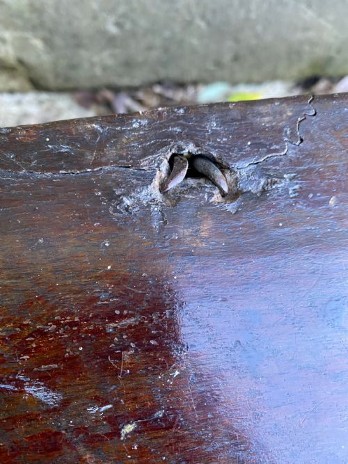 EARLY OAK COFFER - ADDITIONAL PHOTO 12