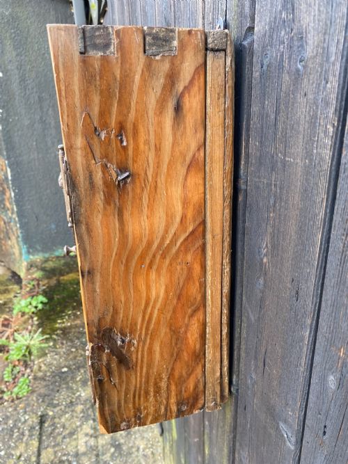 EARLY PINE WALL CUPBOARD - ADDITIONAL PHOTO 17