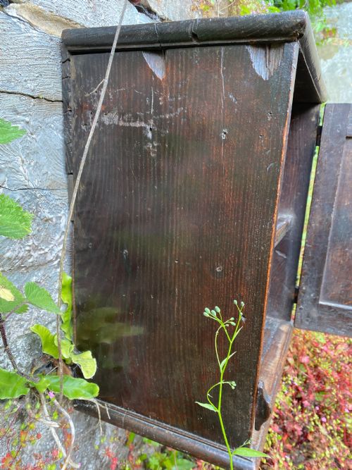 EARLY OAK MURAL CUPBOARD - ADDITIONAL PHOTO 15