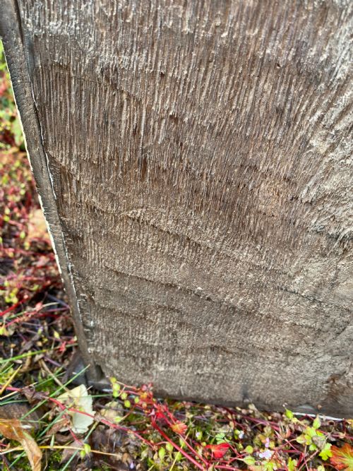 AN EARLY OAK SPICE WALL CUPBOARD - ADDITIONAL PHOTO 19
