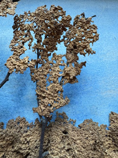 CORK WORK DIORAMA - ADDITIONAL PHOTO 9