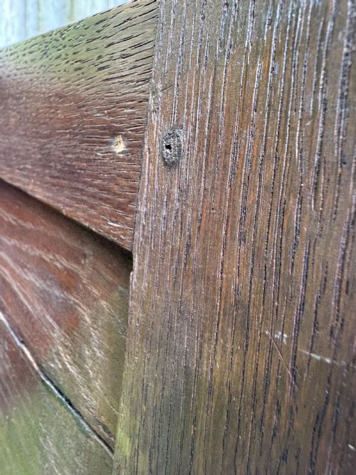 EARLY OAK SPICE CUPBOARD - ADDITIONAL PHOTO 11