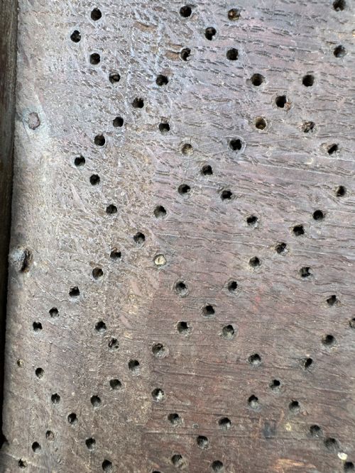 EARLY SPICE CUPBOARD - ADDITIONAL PHOTO 19