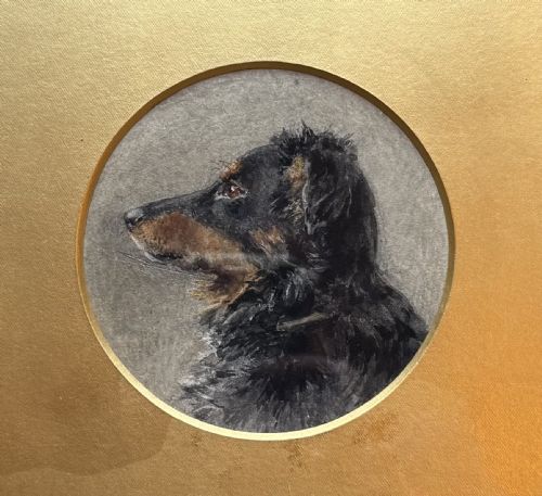 PORTRAIT OF A DOG - ADDITIONAL PHOTO 2