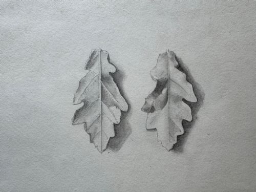ANTIQUE SKETCHBOOK - ADDITIONAL PHOTO 6