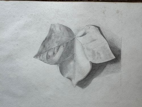 ANTIQUE SKETCHBOOK - ADDITIONAL PHOTO 7