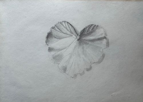 ANTIQUE SKETCHBOOK - ADDITIONAL PHOTO 9