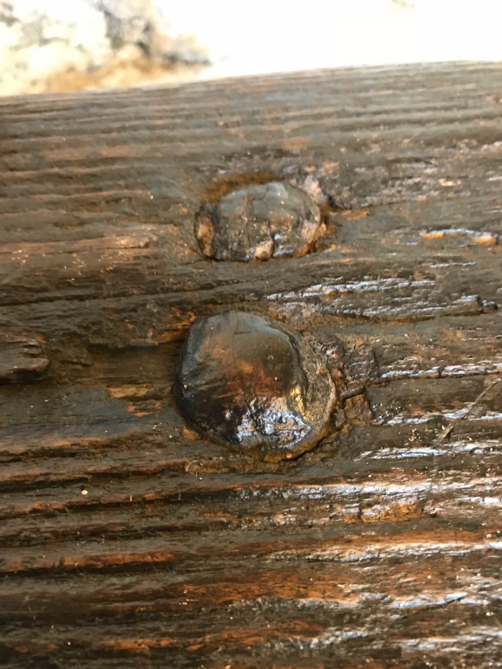Primitive Oak stool  View VIII