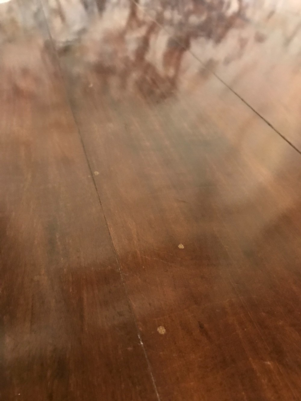 Antique Yew Wood Table  View IV