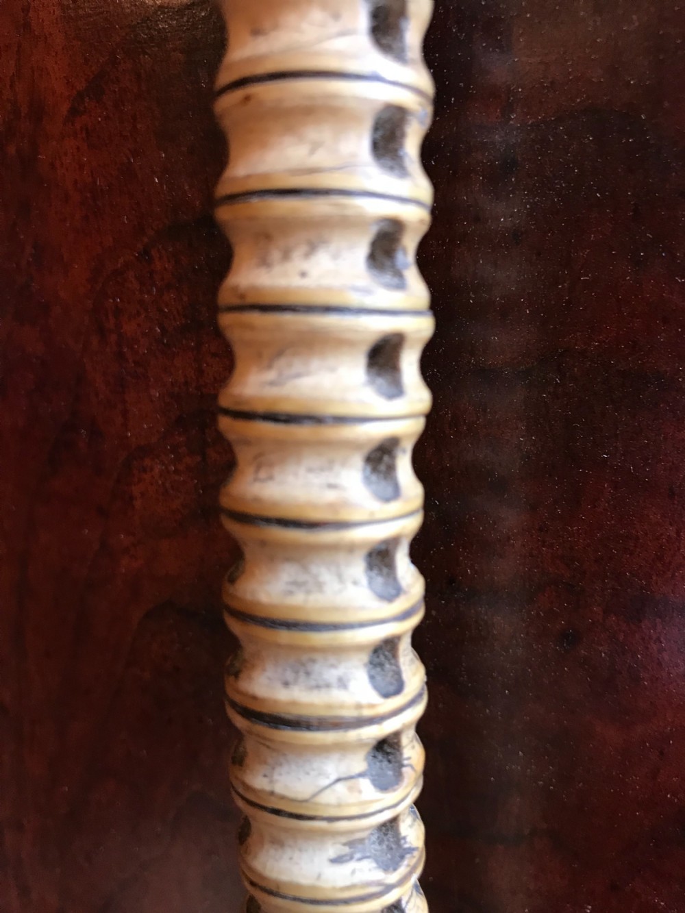 Antique Cane/Stick View V