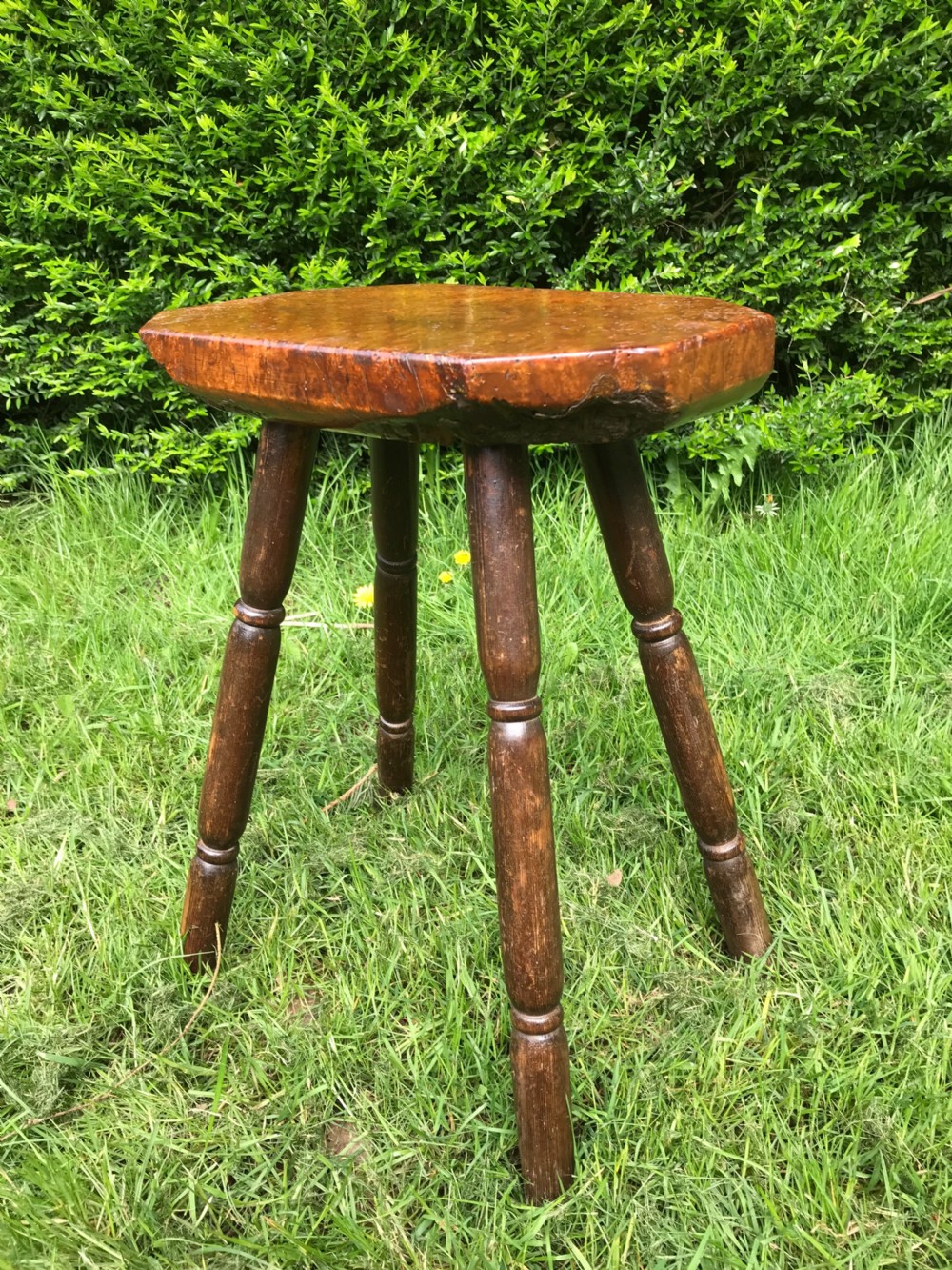 Primitive burr wood stool 