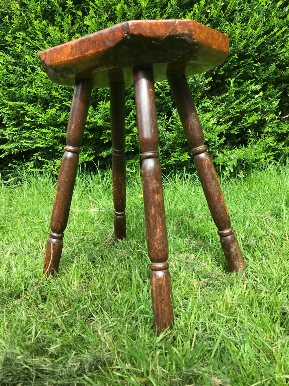 Primitive burr wood stool  View III