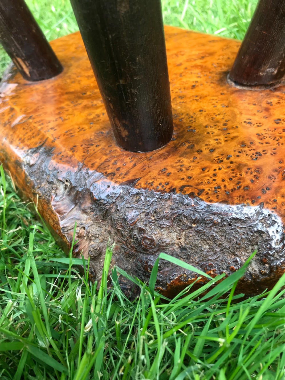 Primitive burr wood stool  View VI
