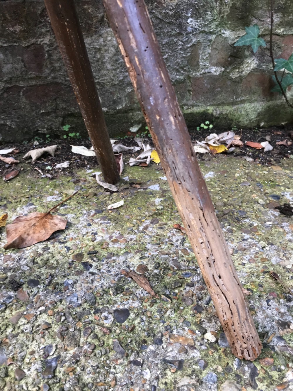 Antique Cricket Table View III