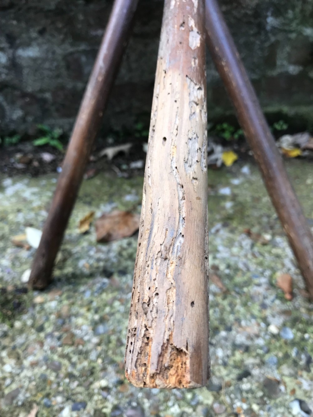Antique Cricket Table View VII