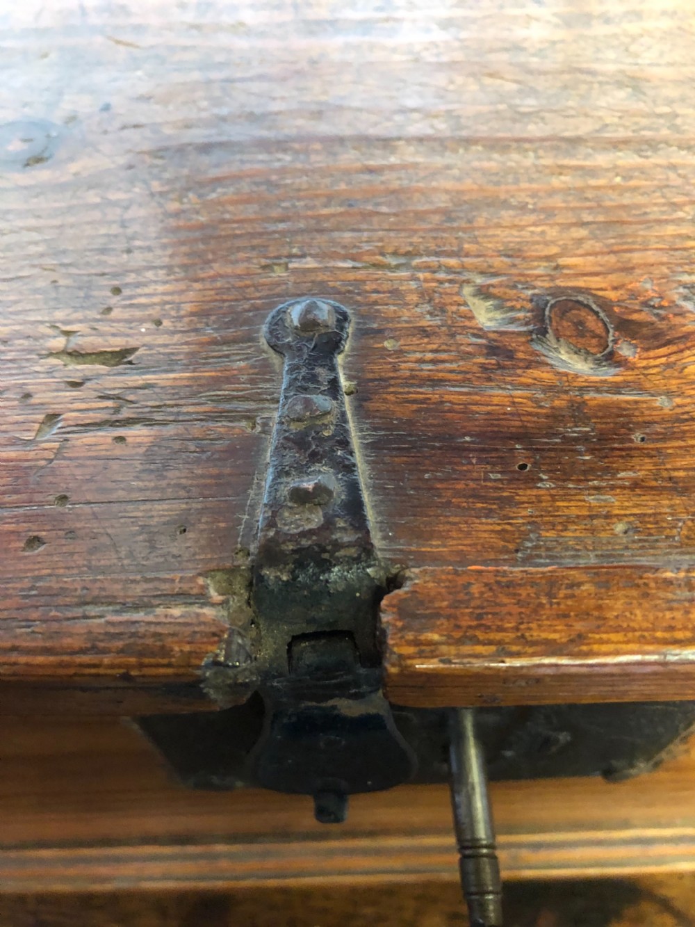 Early Pine Box View VII