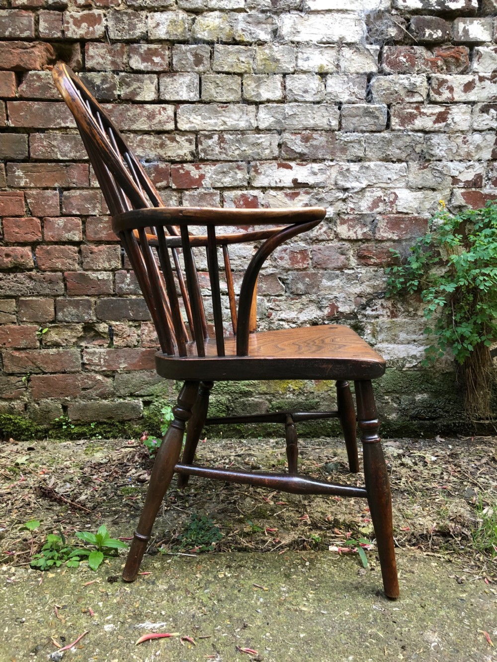 Antique Windsor Chair View IV